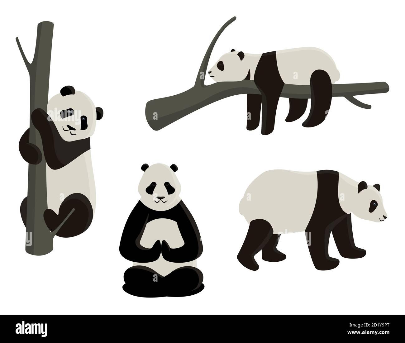 Vector set of pandas in different poses. Cartoon style illustrations isolated on white background. Stock Vector
