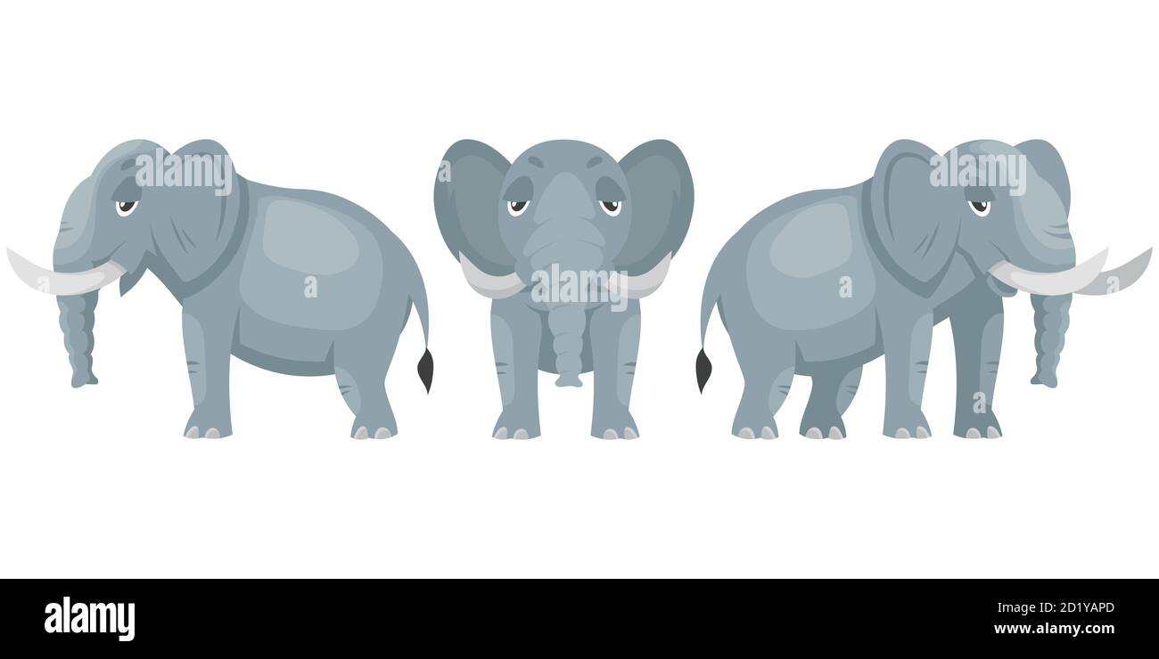 Elephant in different poses. African animal in cartoon style. Stock Vector