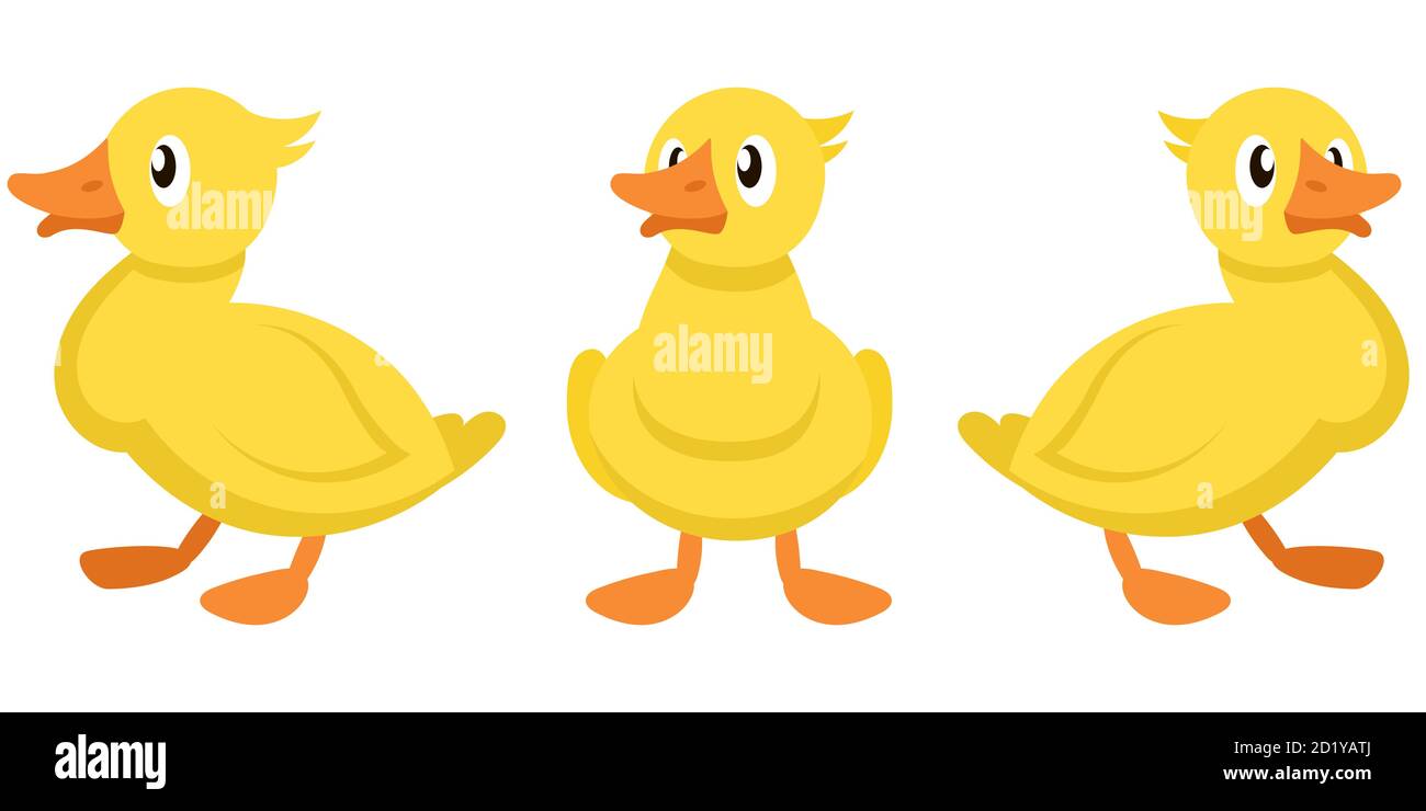 Duckling in different poses. Farm bird in cartoon style. Stock Vector