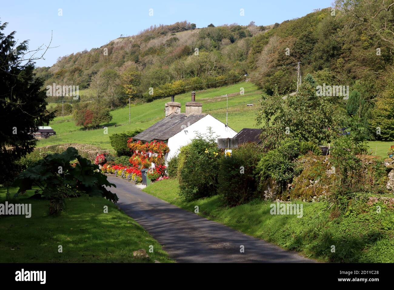 Flower decked cottages in a beautiful, wooded valley. Stock Photo