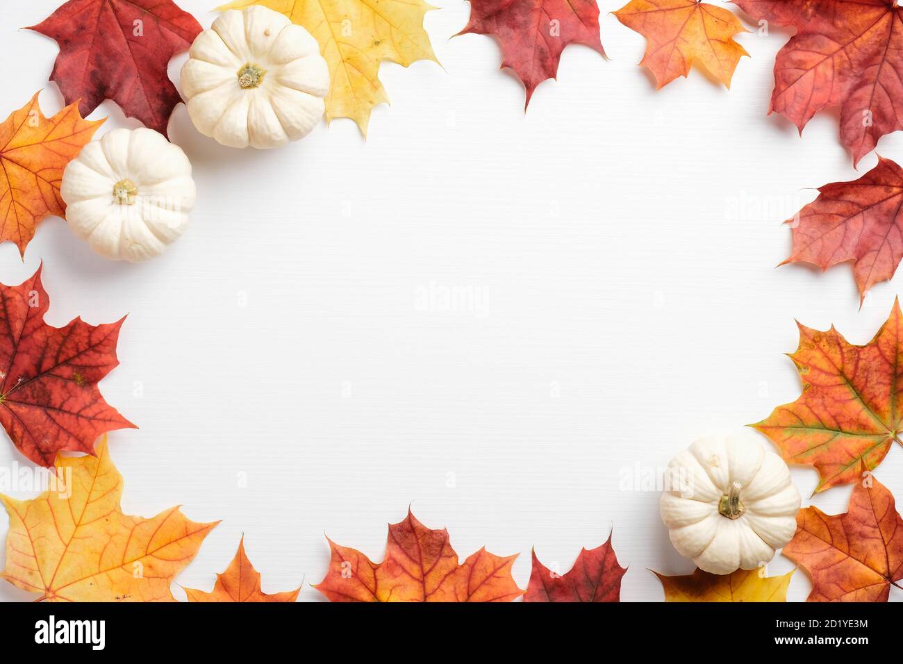 Autumn leaves and pumpkins border frame on white table. Seasonal background.  Autumn fall, thanksgiving, harvest concept. Flat lay, top view Stock Photo  - Alamy