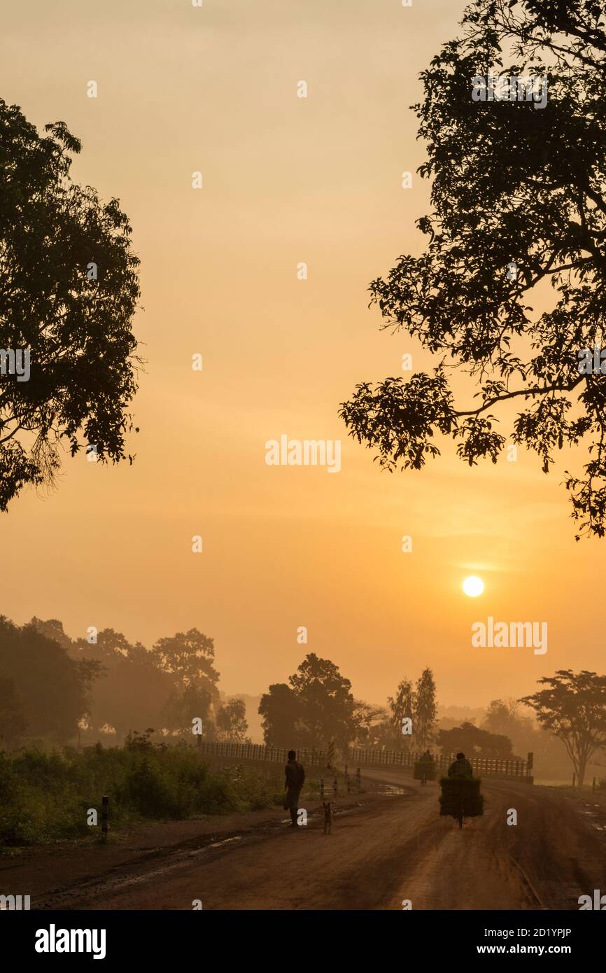 Sunrise in village near Jagdalpur, Bastar, Chhattisgarh Stock Photo Alamy