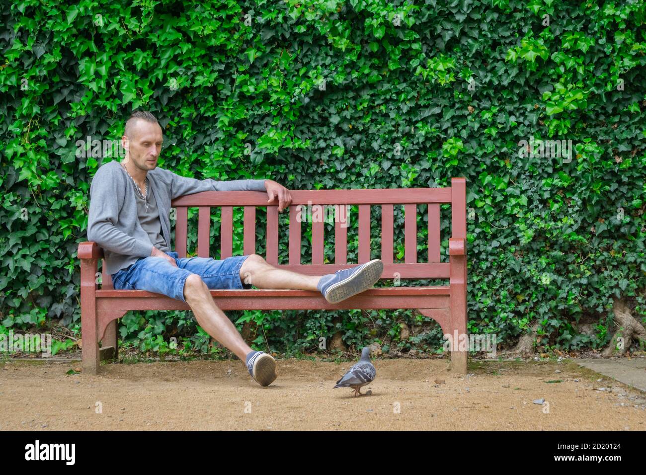 Lonely Man Sitting Alone On Bench And Looking At Pigeon Loneliness Concept Stock Photo Alamy