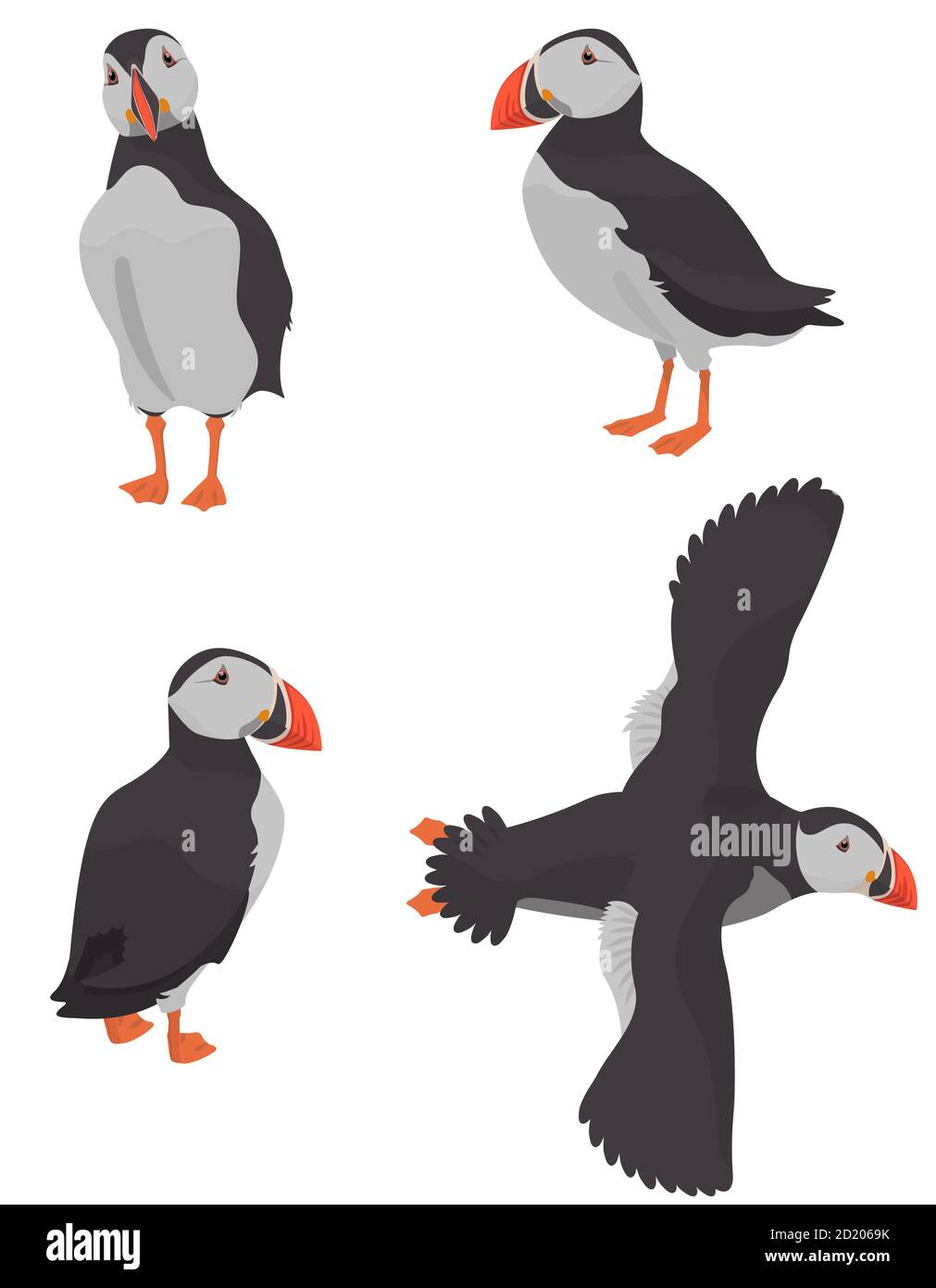 Atlantic puffin in different poses. Northern bird in cartoon style. Stock Vector