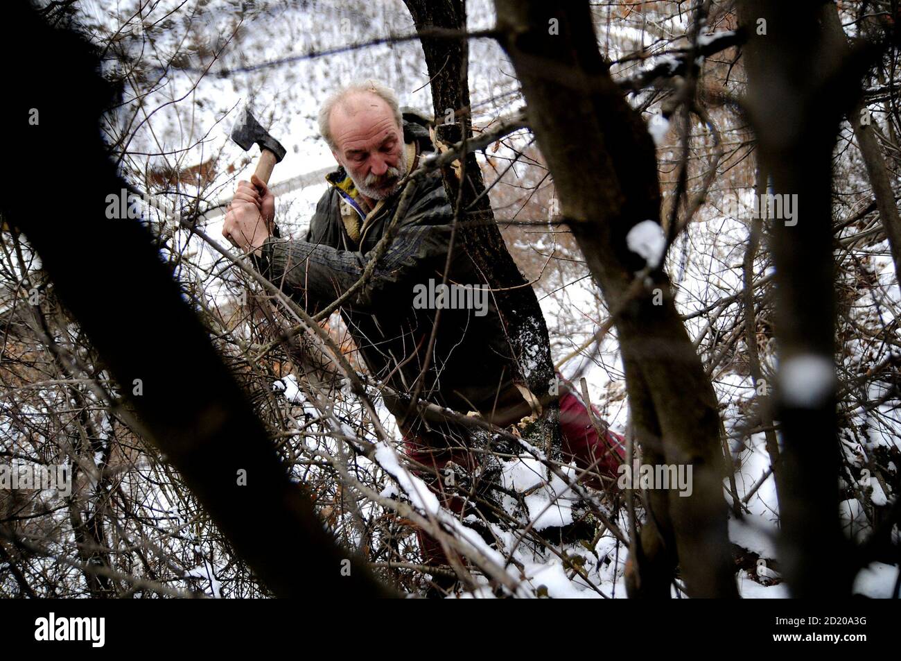 Bosnia Croat Zarko Hrgic, 51, splits wood in a forest in the village of Babino January 31, 2010. Hrgic has been living in a cave for three years in Babino near the central Bosnian town of Zenica, 50 miles northeast of Sarajevo , where the temperature in the village dips to minus 17 degrees Celsius at night. He makes a living by selling wood for 15 euros ($20.80) per metre.  REUTERS/Dado Ruvic (BOSNIA AND HERZEGOVINA - Tags: SOCIETY ENVIRONMENT) Stock Photo