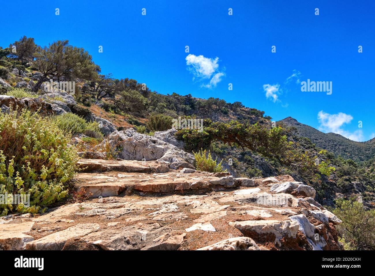 Greek or Cretan view, hill, mountain, spring, bushes, olive trees, rocky path, paved stairs. Clear blue sky, beautiful clouds. Akrotiri, Crete, Greece Stock Photo