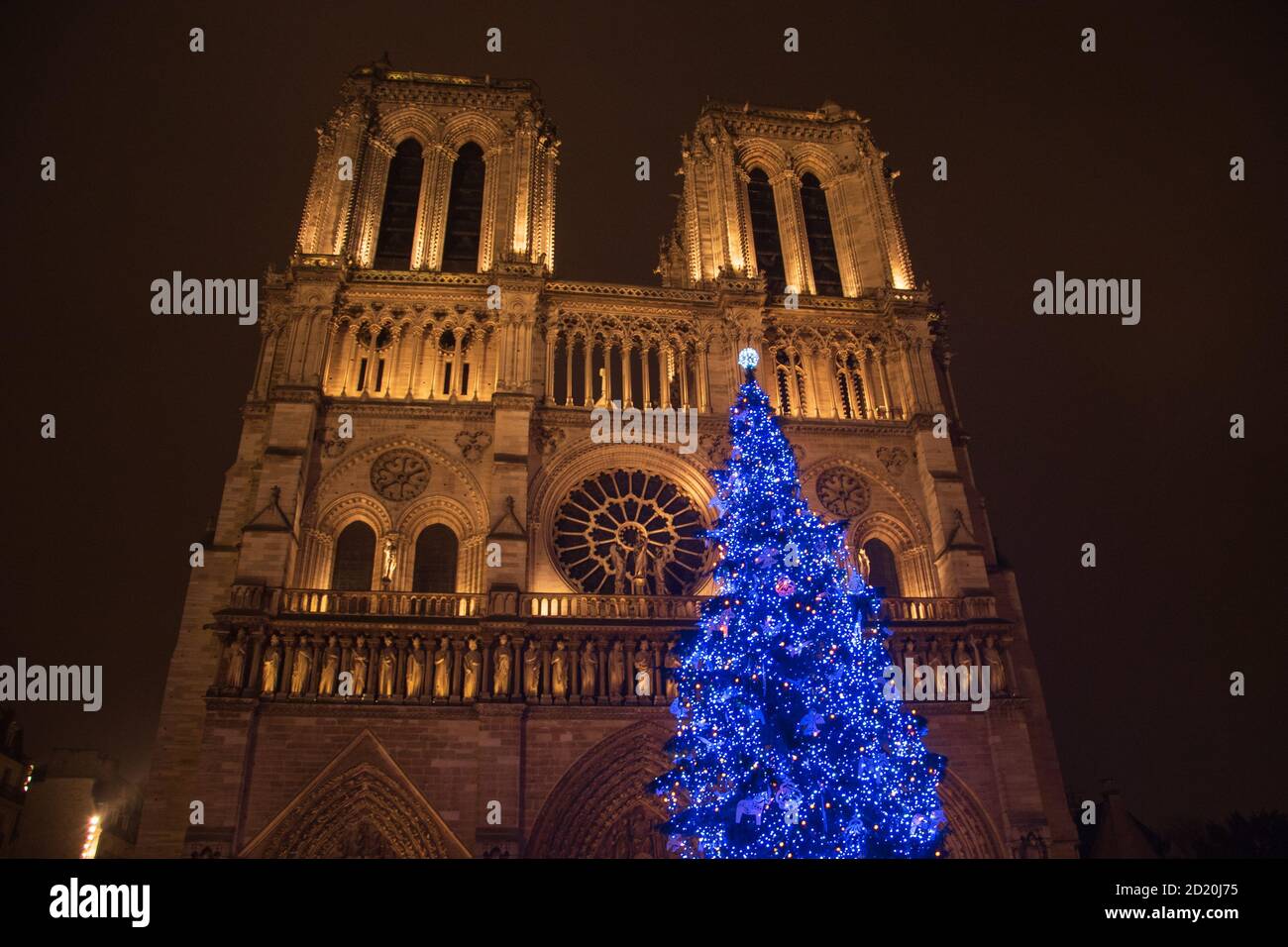 Christmas tree in front of the Notre Dame cathedral in the evening. Paris, France. 2018 last Christmas before a fire in April 2019. Stock Photo