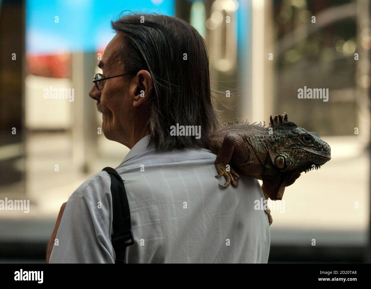 Man meeting animal hi-res stock photography and images - Page 3 - Alamy