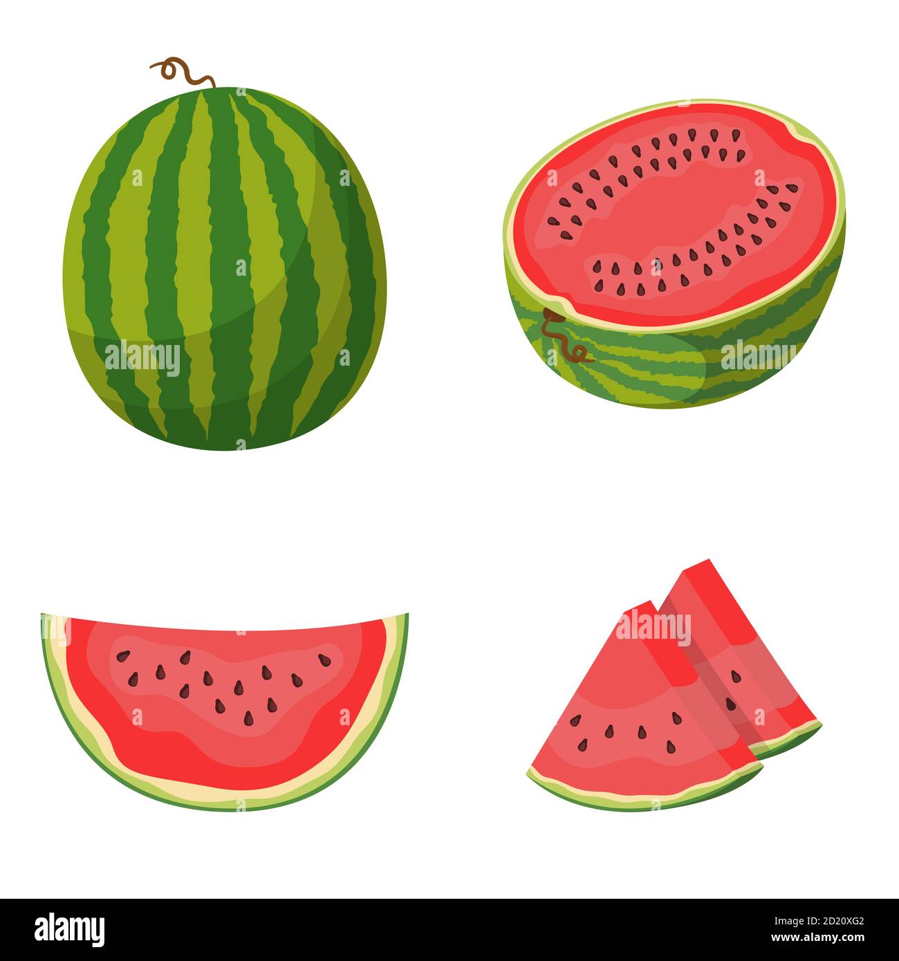 Whole and sliced watermelon. Vector set in cartoon style. Stock Vector