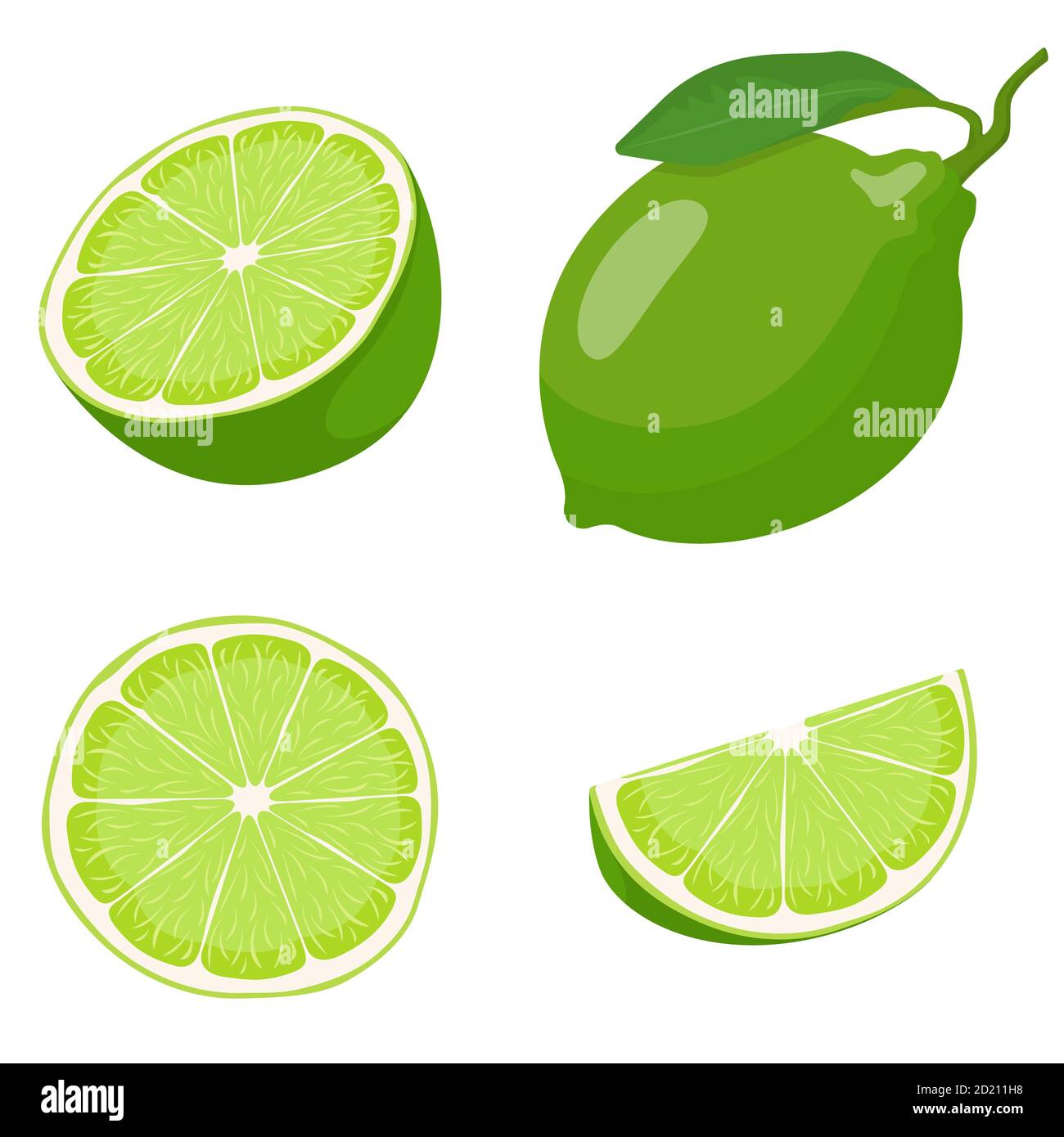 Whole and sliced lime. Vector set in cartoon style isolated on white