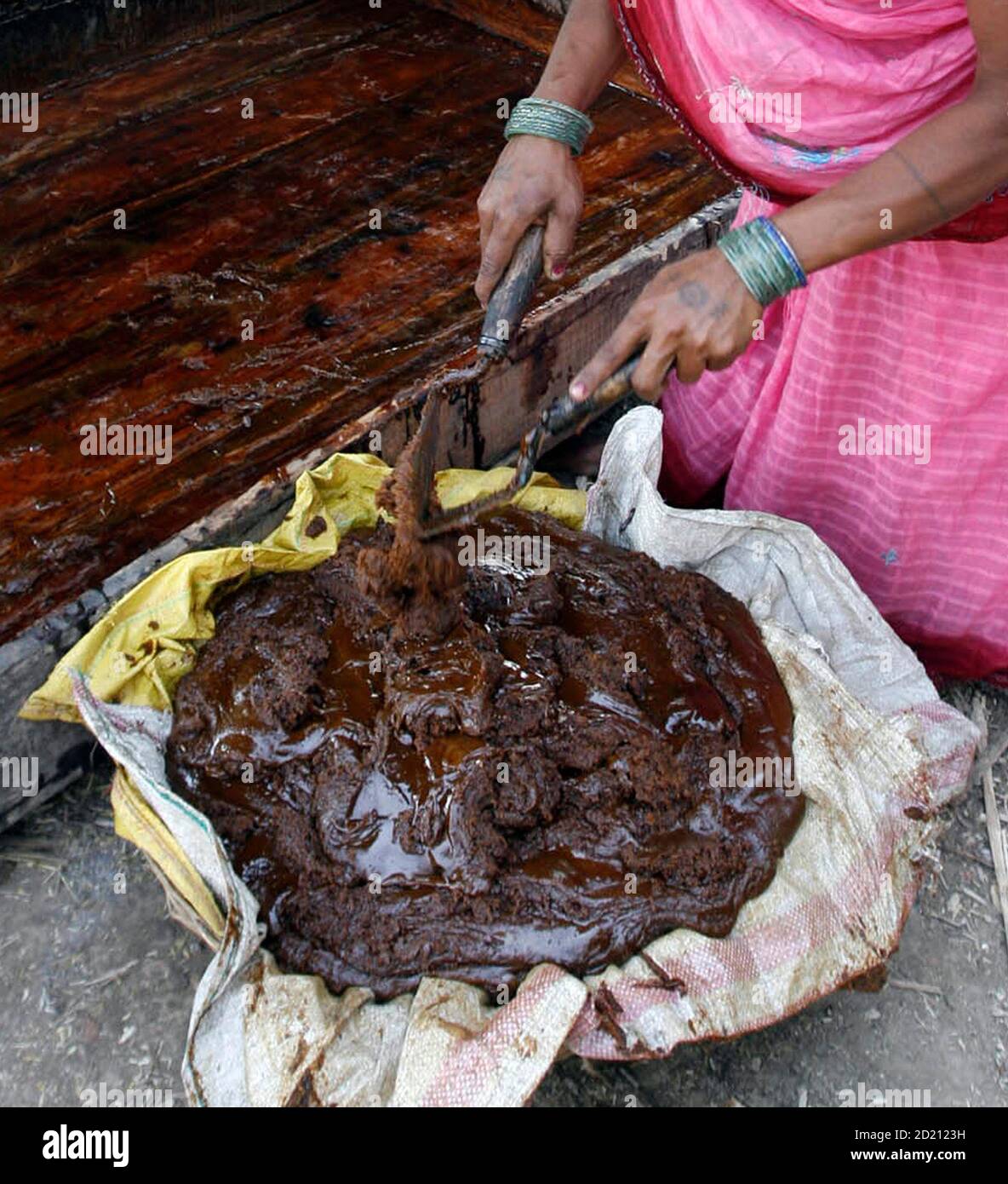 Terai Region Of Nepal High Resolution Stock Photography and Images Alamy