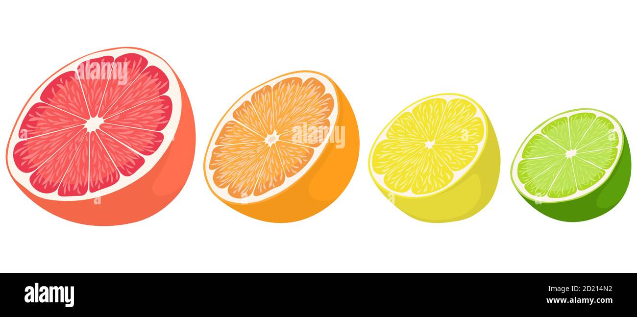 Set of citrus fruits. Lemon, lime, orange and grapefruit in cartoon