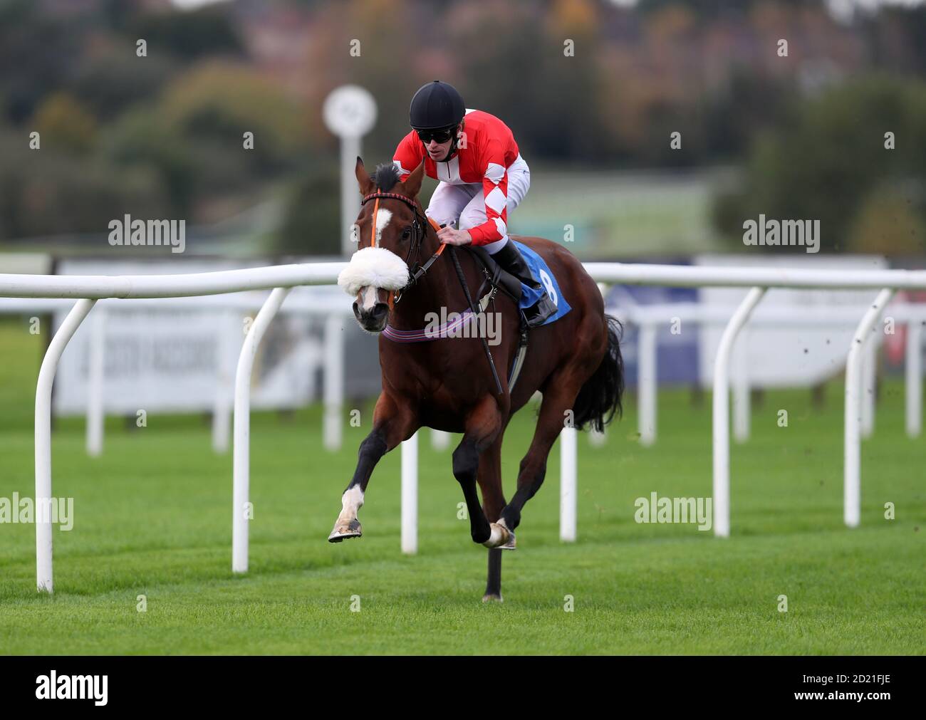 Glass Of Bubbles ridden by Barry McHugh wins the Graham The Plumbers' Merchant Selling Stakes at Leicester Racecourse. Stock Photo