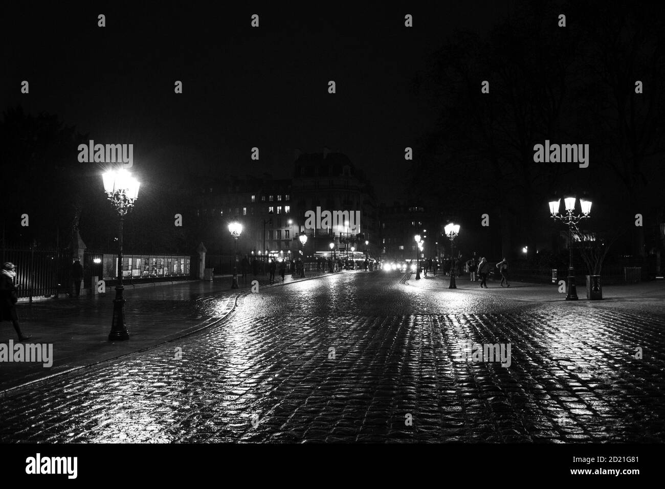 View of Pont au Double (bridge leading to Notre Dame cathedral) and Seine river left bank at rainy evening. Black white. Stock Photo