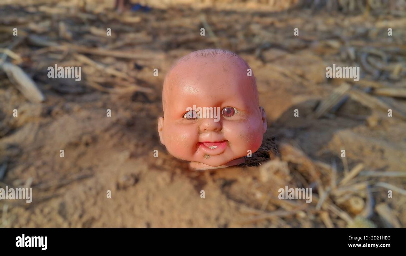 A vintage ceramic doll head, isolated on a farm background. Stock Photo