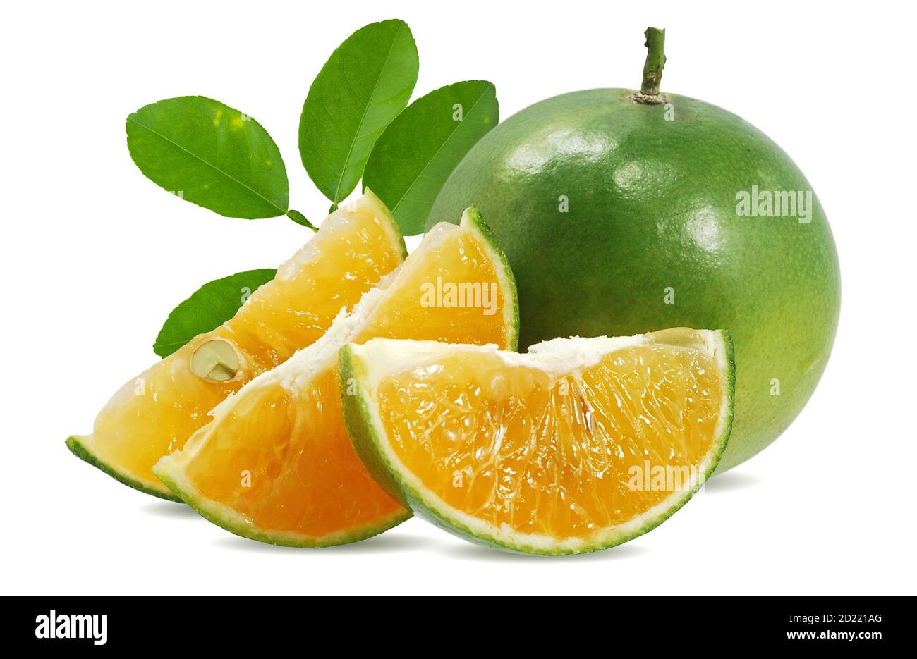 Calamansi or Green orange fruits isolated on white background Stock Photo