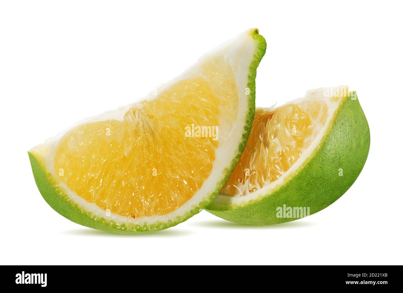 C Microcarpa High Resolution Stock Photography And Images Alamy