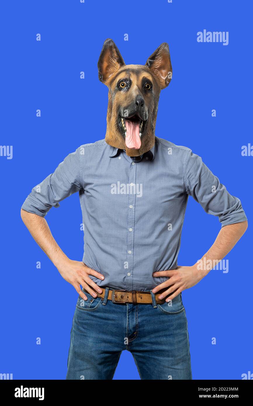 Young man in a latex dog head mask holding a weight scale on a pink  background Stock Photo - Alamy