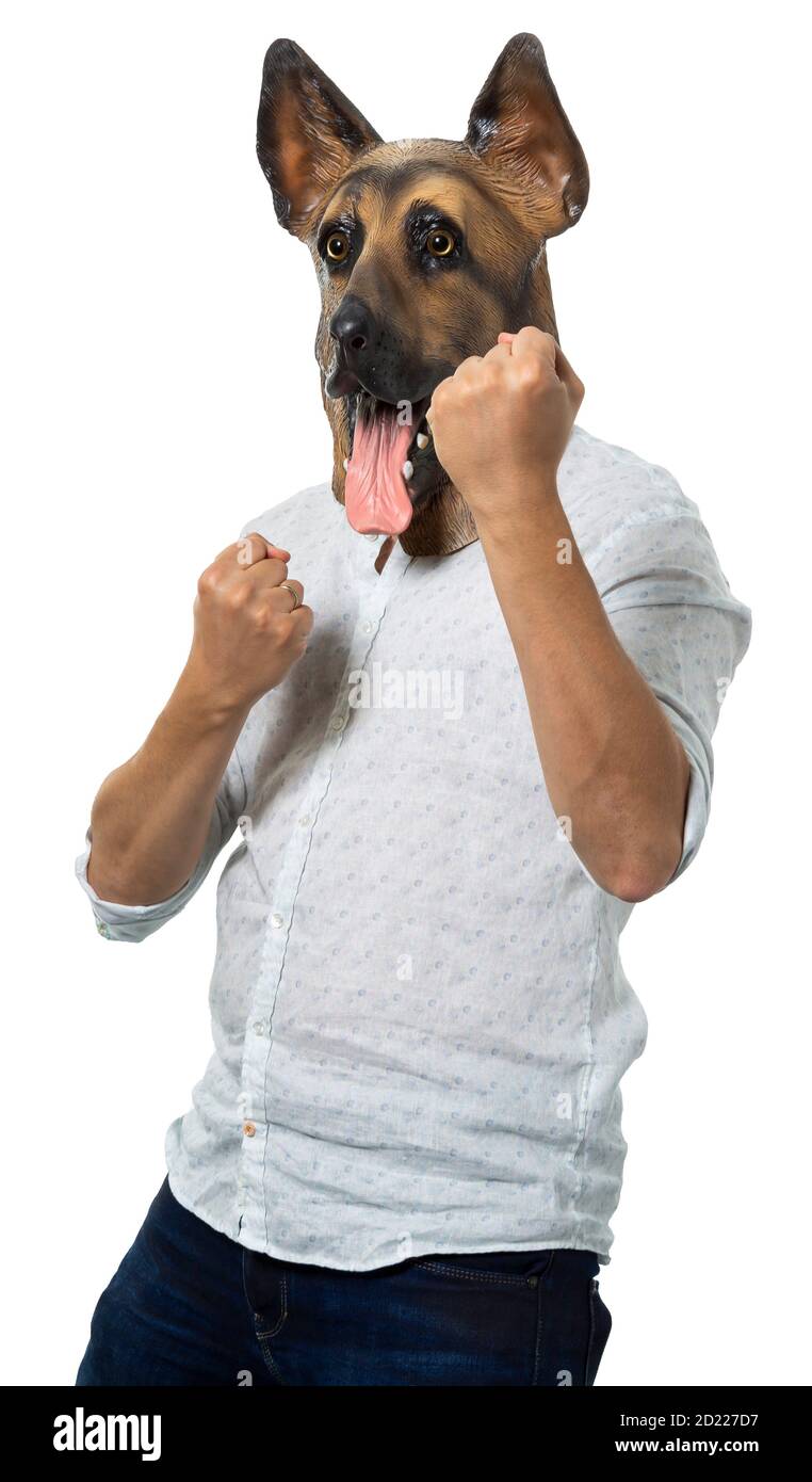 Man wearing dog mask in fighting stance with clenched fists. Medium