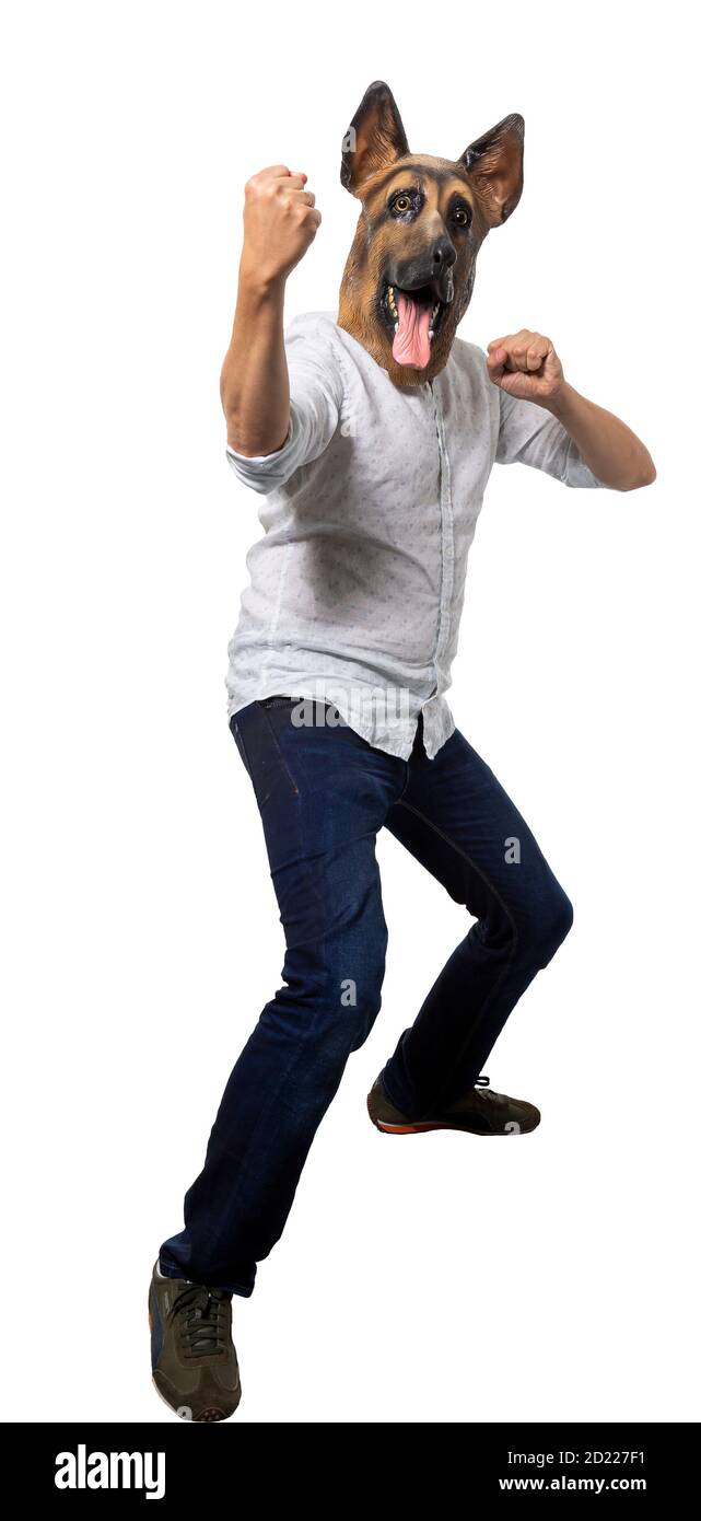 Man wearing dog mask raising fist at camera in fight stance. Full