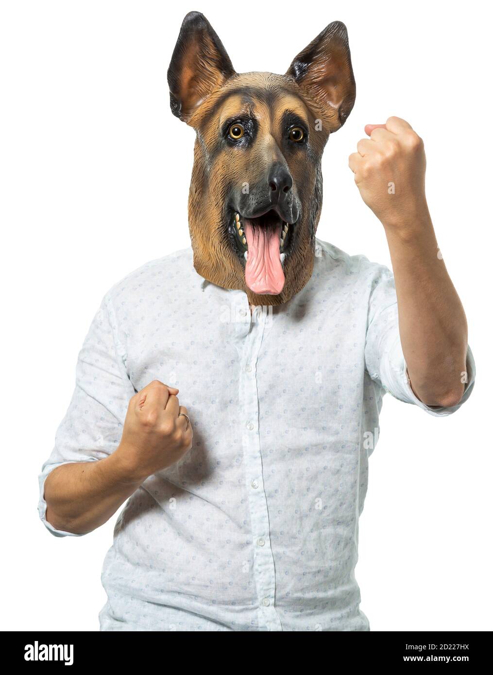 Man in dog mask posing in fighting stance on isolated white background