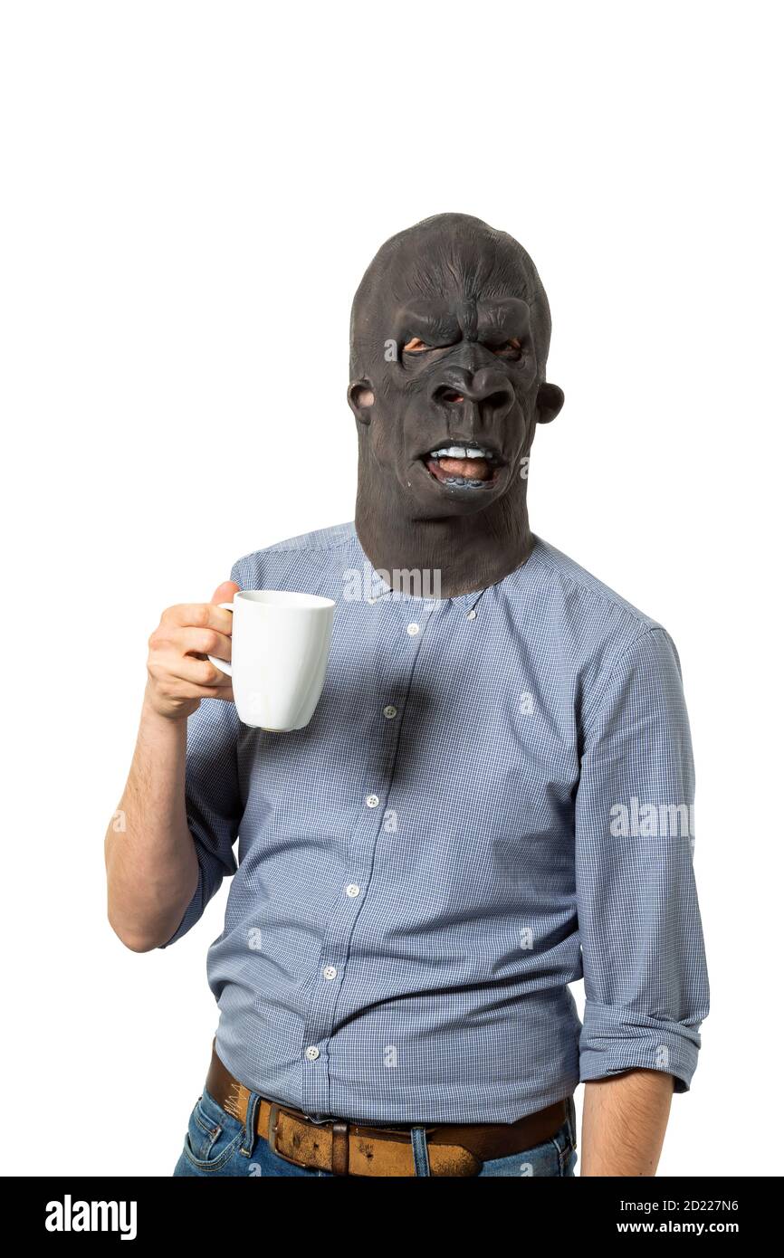 Man wearing gorilla mask holding coffee mug on isolated white background. Medium shot. Stock Photo