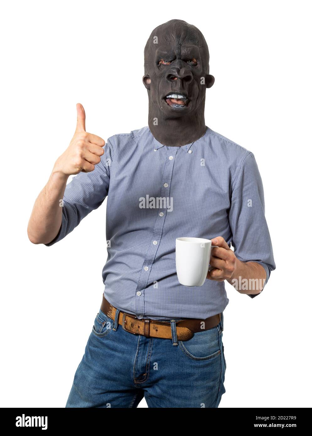 Man in gorilla mask giving thumbs up and holding coffee mug. Isolated white background. Medium shot. Stock Photo