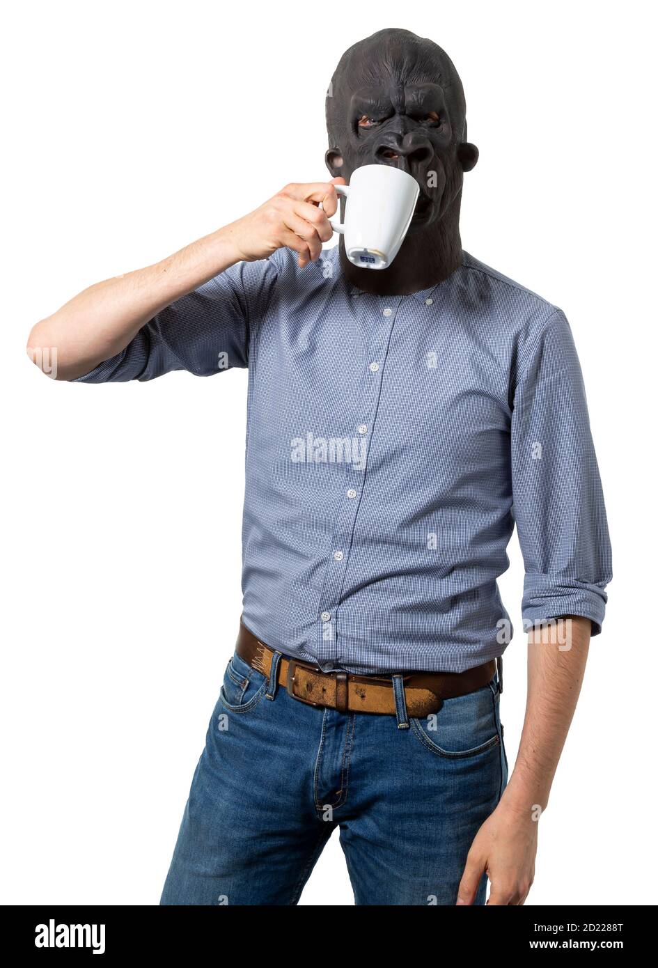 Man wearing gorilla mask drinking from coffee cup. Isolated white