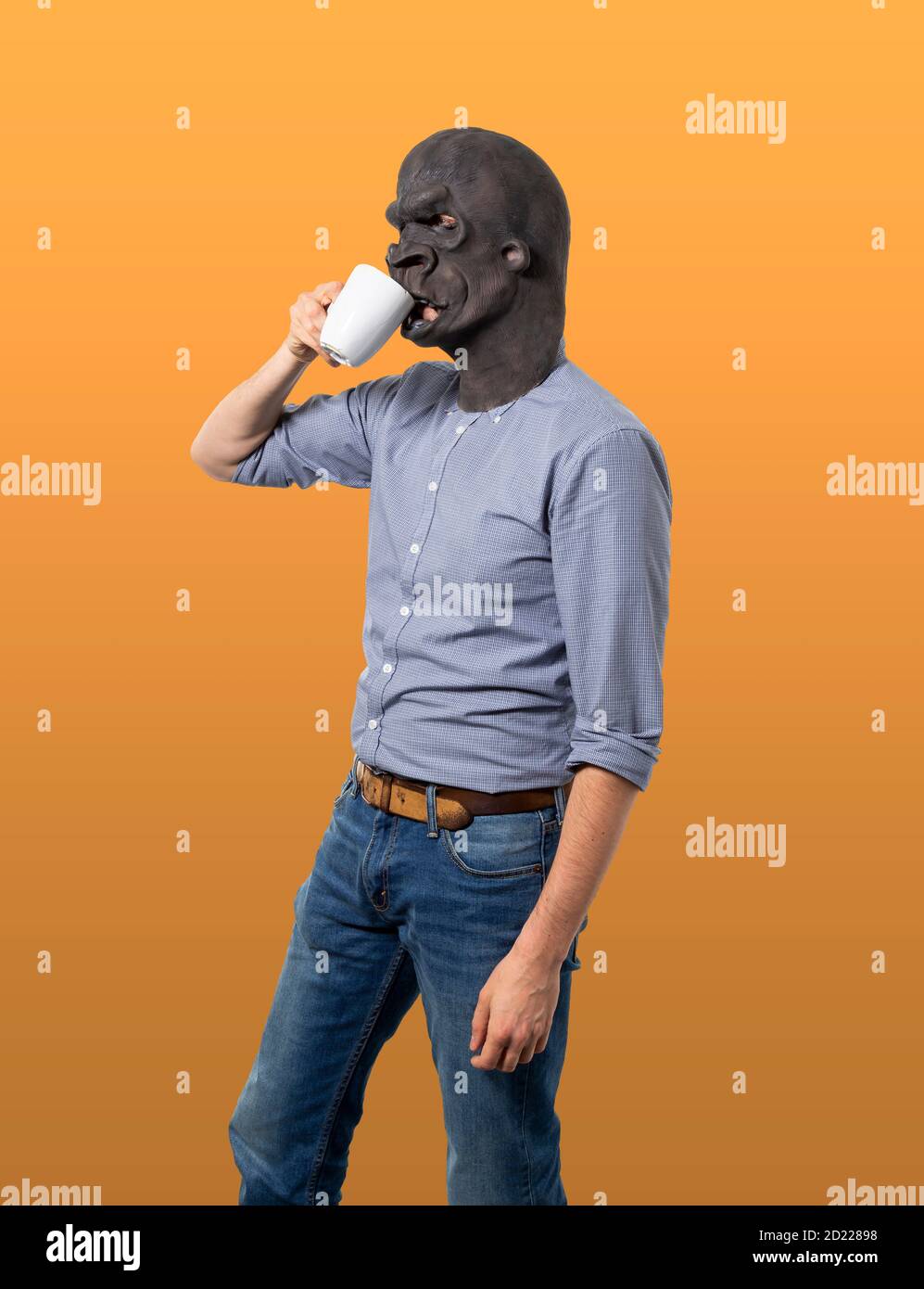 Man wearing gorilla mask drinking from mug. Profile view. Three quarter length. Isolated orange background. Stock Photo