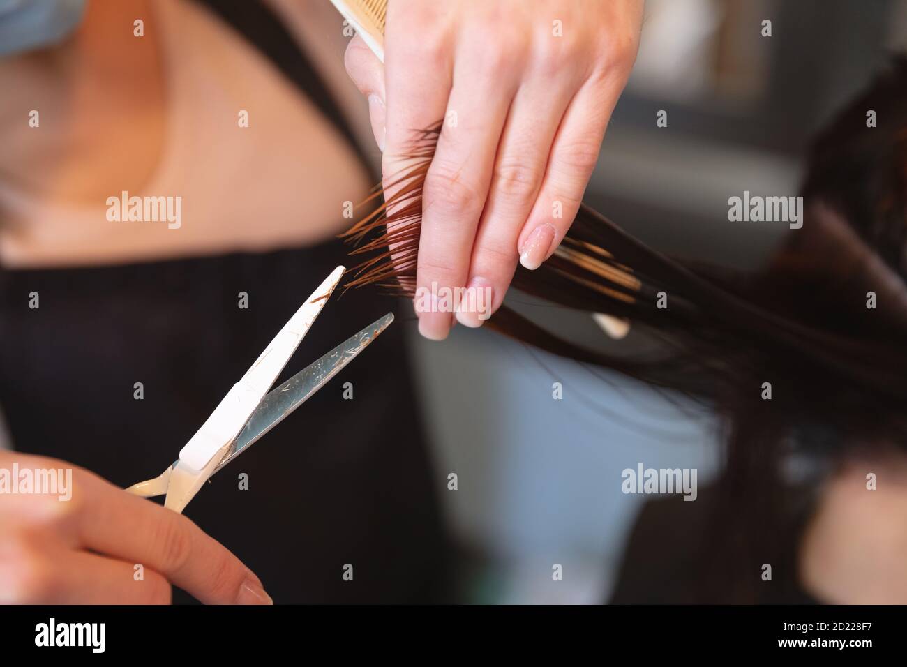 Mid section of Female hairdresser cutting hair of female customer at hair salon Stock Photo