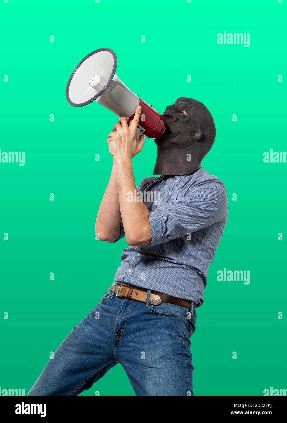 Man in gorilla mask screaming on megaphone. Isolated cutout on green background. Three quarter length. Stock Photo