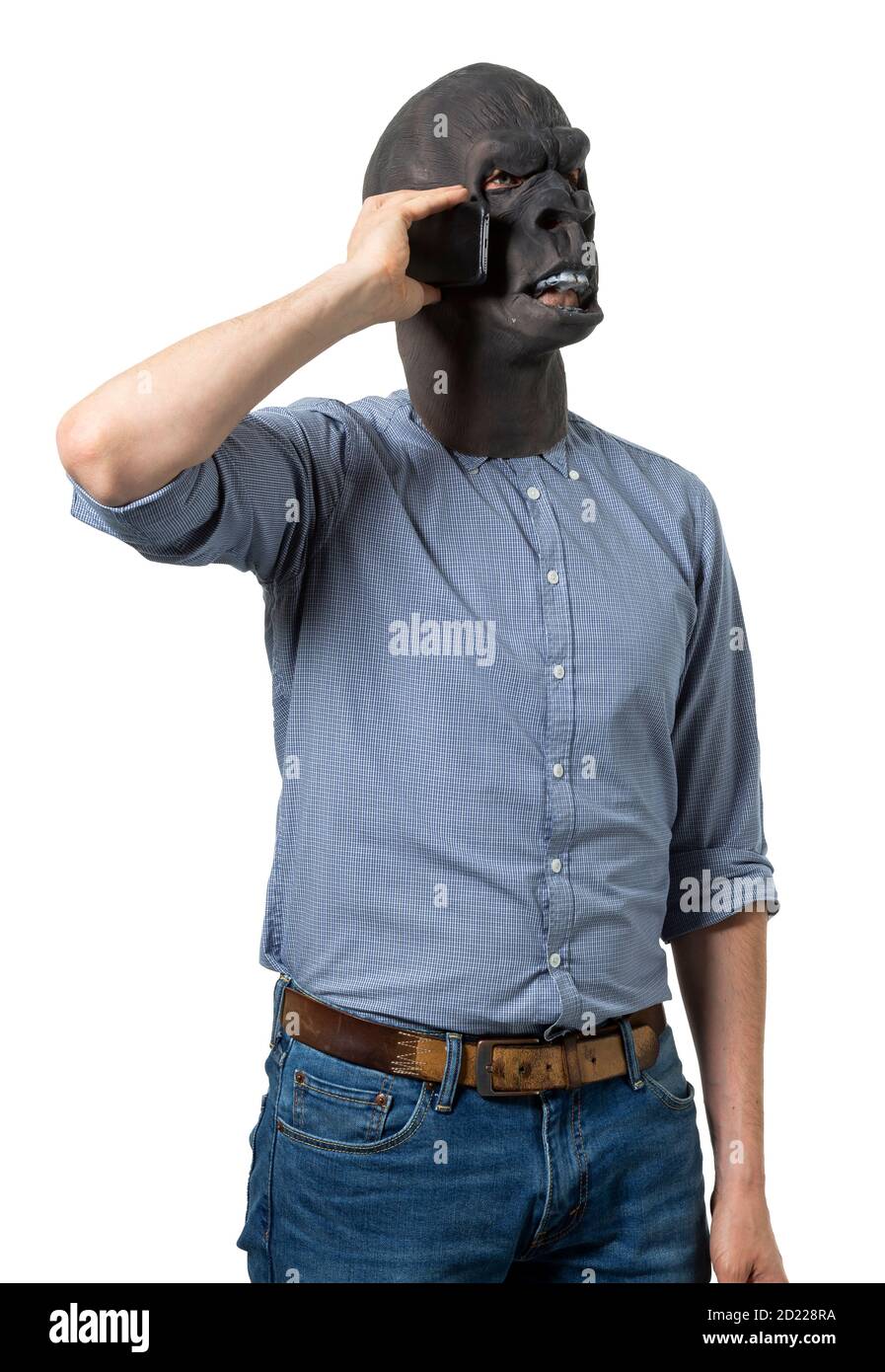 Man in gorilla mask talking on mobile phone. Isolated cutout on white background. Medium shot. Stock Photo