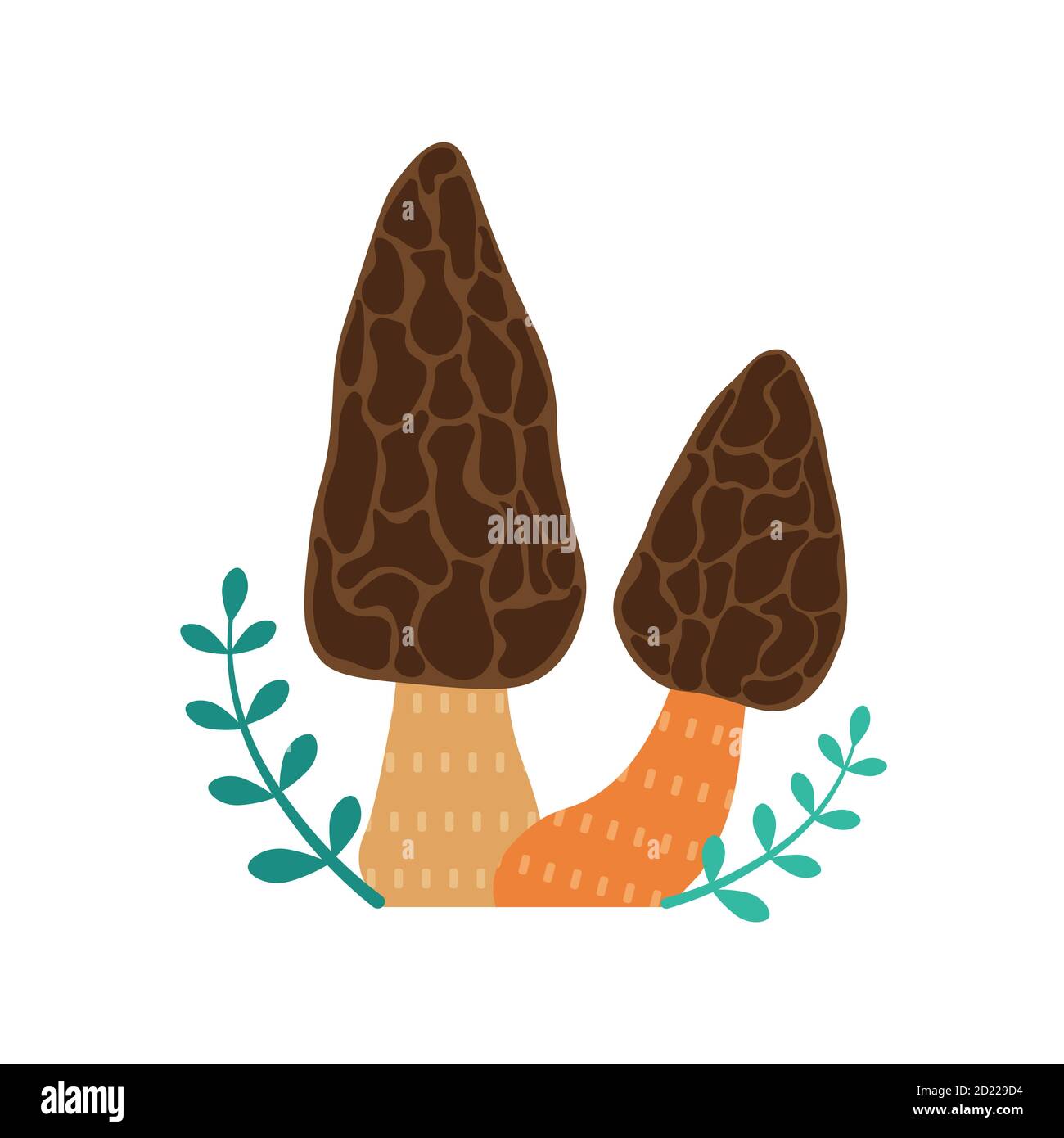 Forest Mushroom Morels Icon in Cartoon Style Stock Vector