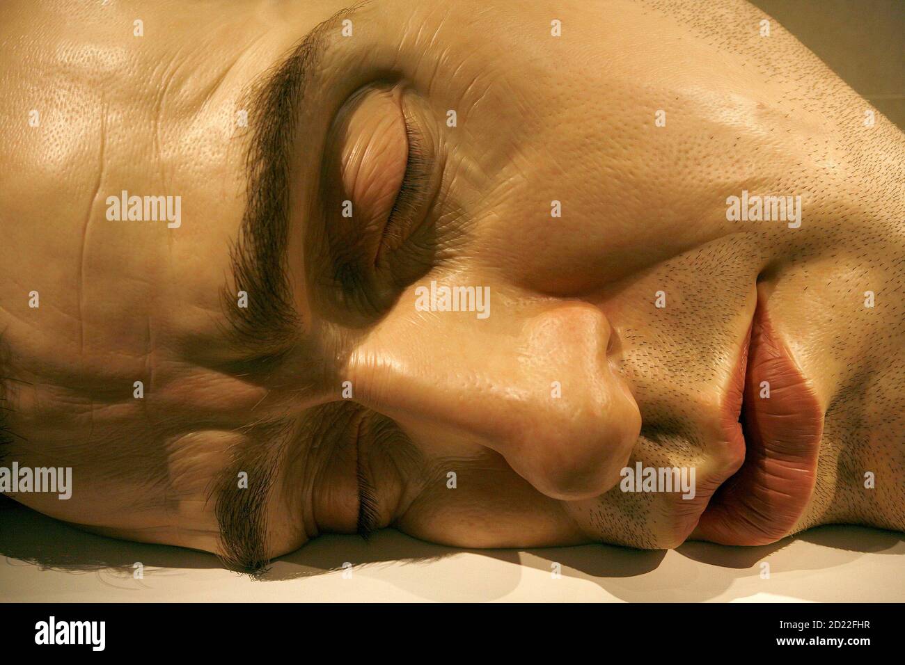 A sculpture entitled 'Mask II' by artist Ron Mueck is displayed at the  British Museum in London October 2, 2008. The sculpture is part of an  exhibition entitled Statuephilia at the British