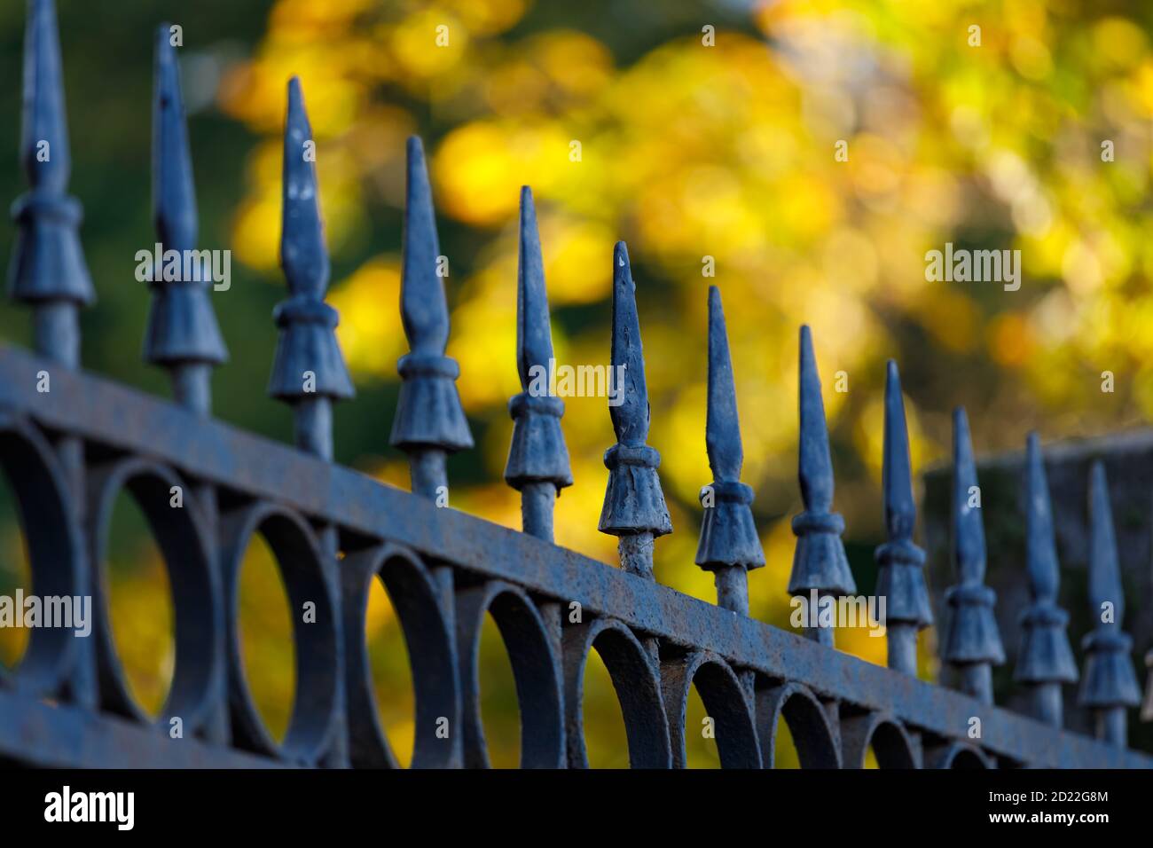 beautiful wrought iron lattice in the park in autumn Stock Photo - Alamy