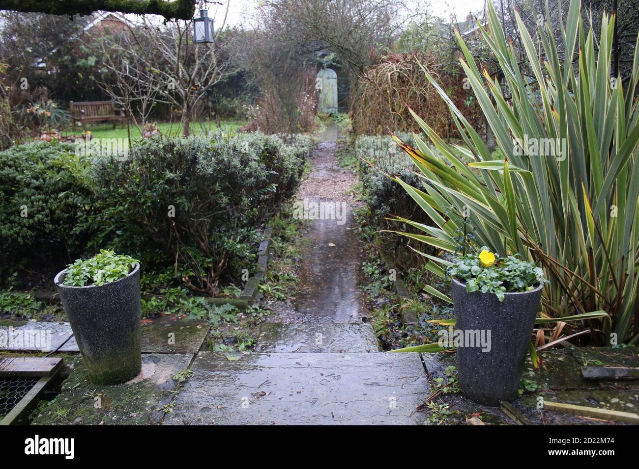 Landscape of flooding in English country garden allotment, flood pools
