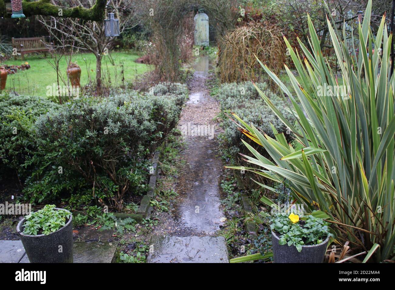 Landscape of flooding in English country garden allotment, flood pools