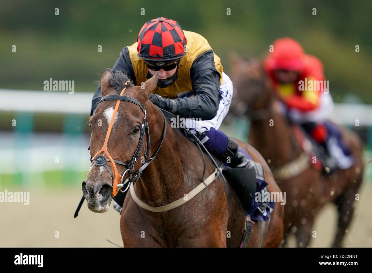 David Probert riding Accomplice win The Read Andrew Balding On Betway Insider Handicap at Lingfield Park at Lingfield Park Racecourse. Stock Photo