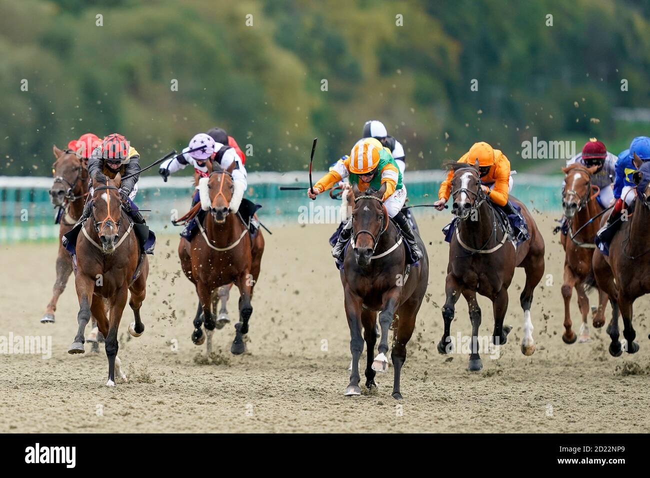 David Probert riding Accomplice (left) win The Read Andrew Balding On Betway Insider Handicap at Lingfield Park at Lingfield Park Racecourse. Stock Photo