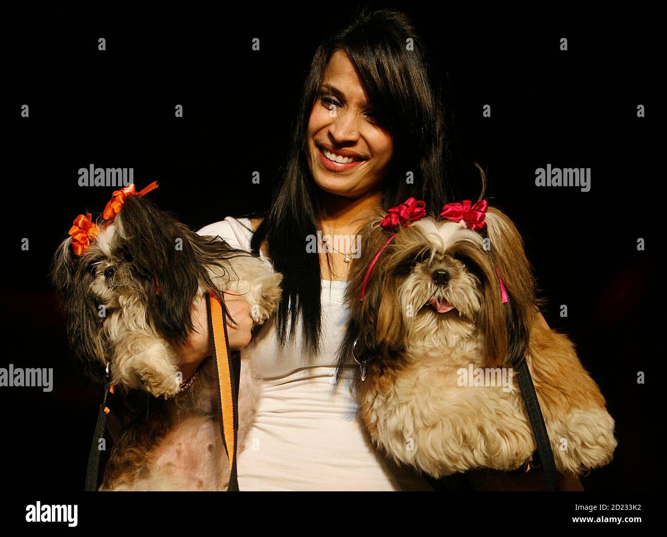 dog showing accessories