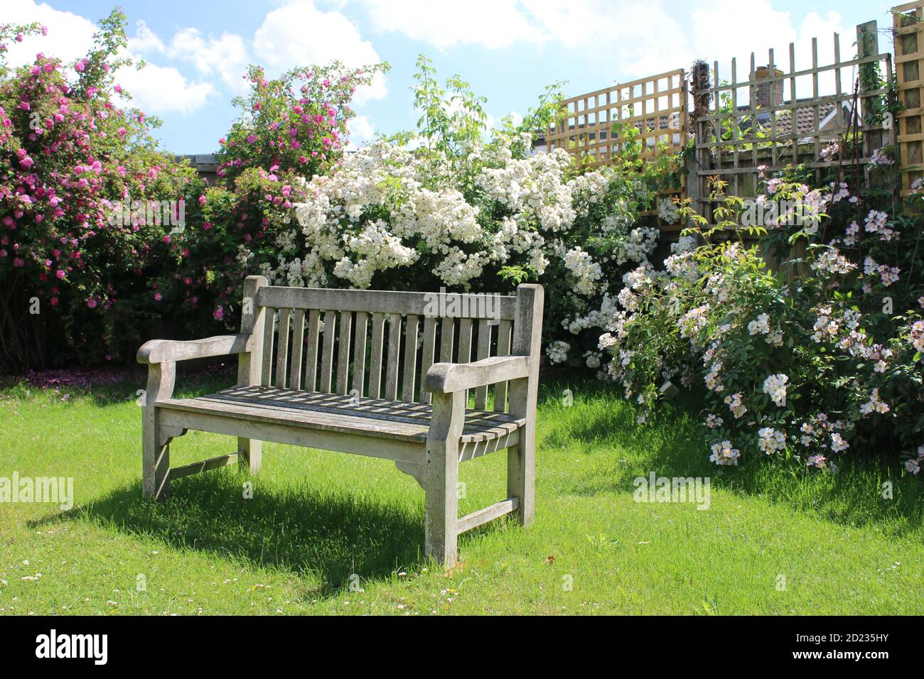 Trellis bench hires stock photography and images Alamy