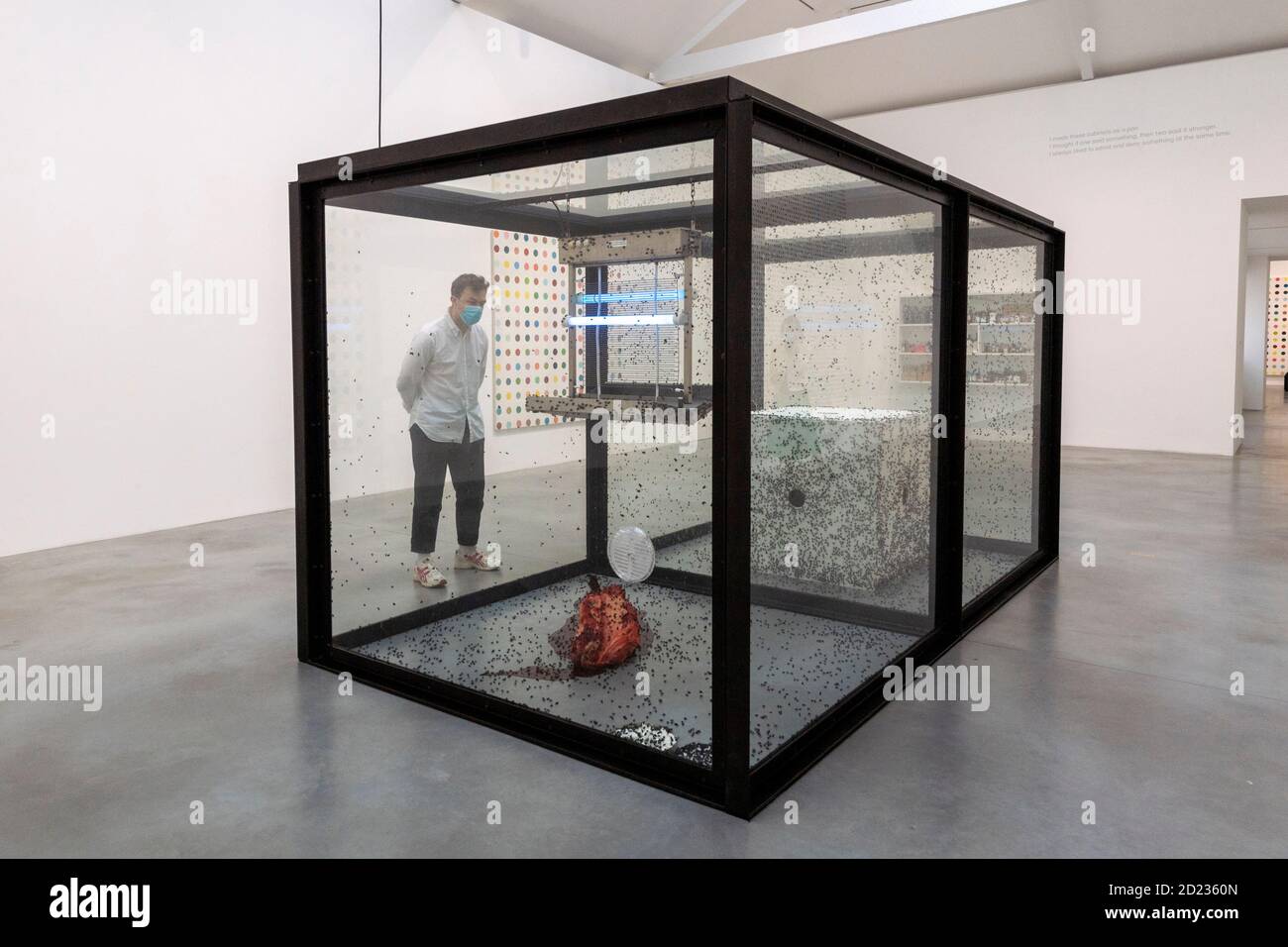 damien-hirst-a-thousand-years