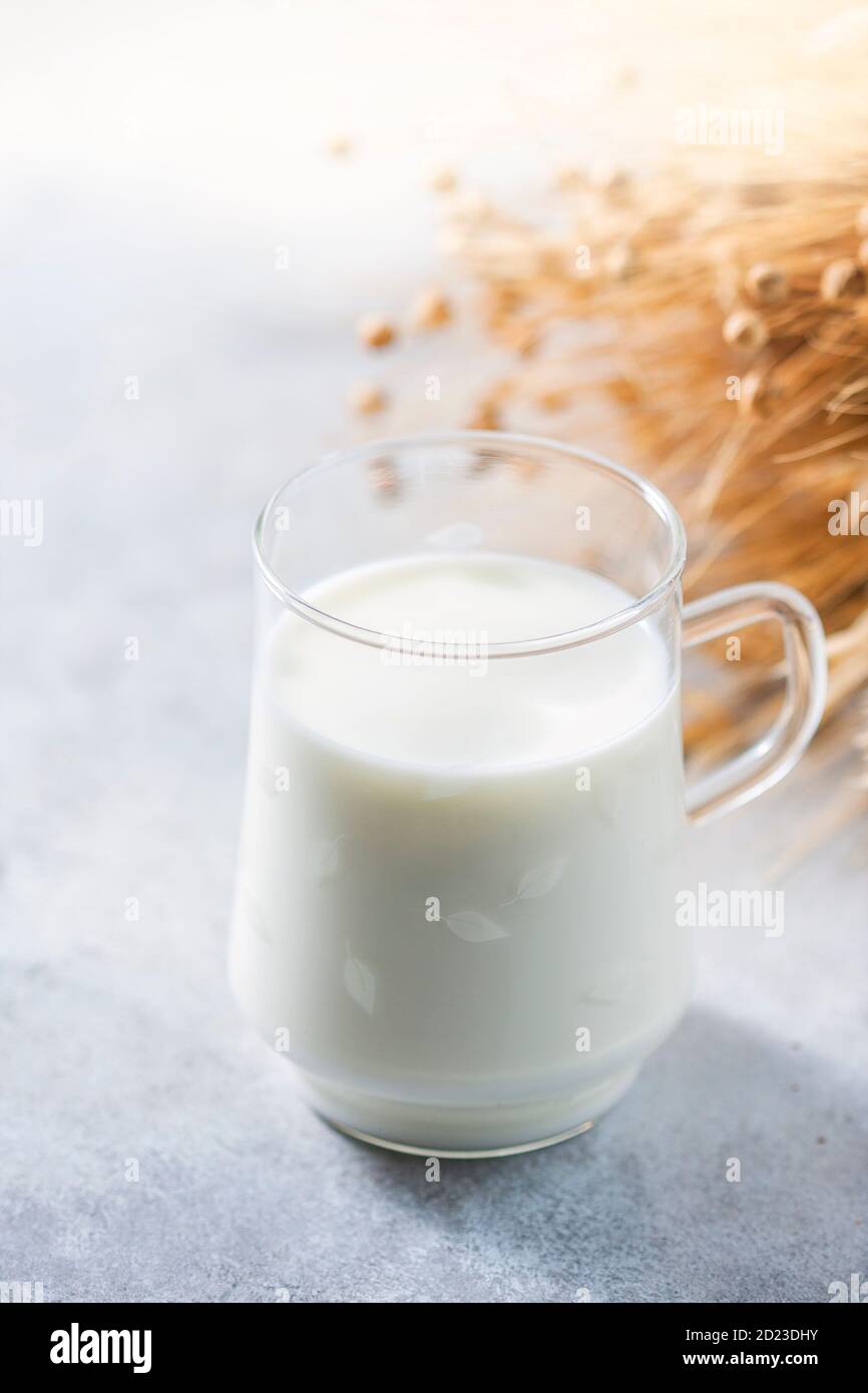 Lactose-free oat milk in a glass cup on a light background. Allergic food concept. Stock Photo