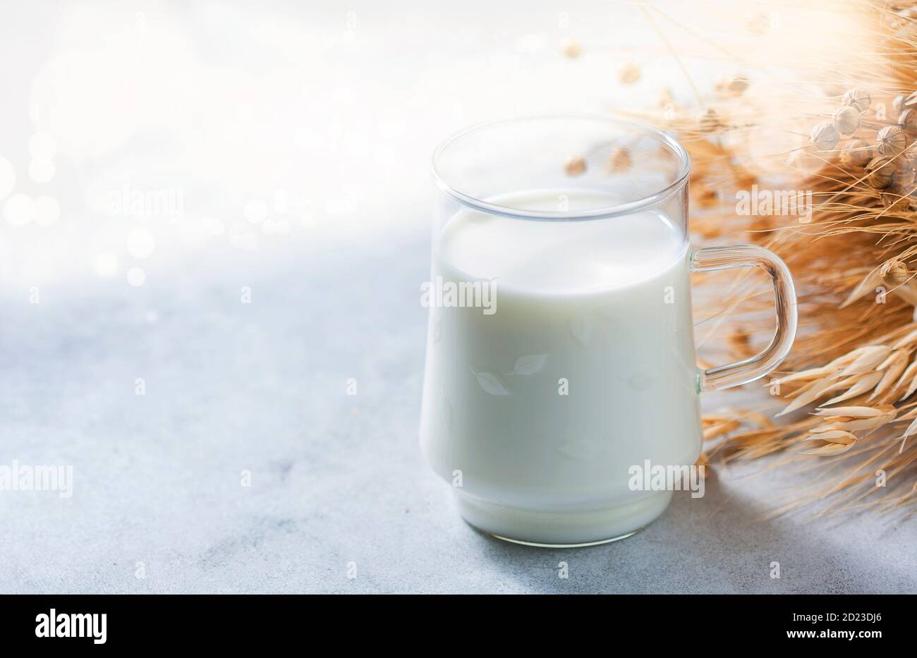 Lactose-free oat milk in a glass cup on a light background. Allergic food concept. Stock Photo