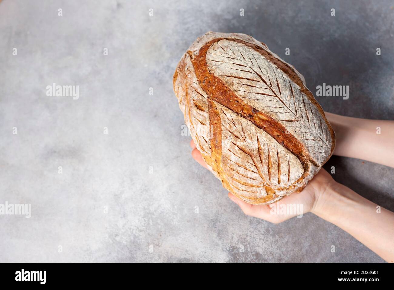 Sourdough bread. Freshly baked organic wheat bread. Child holding fresh round bread. Stock Photo