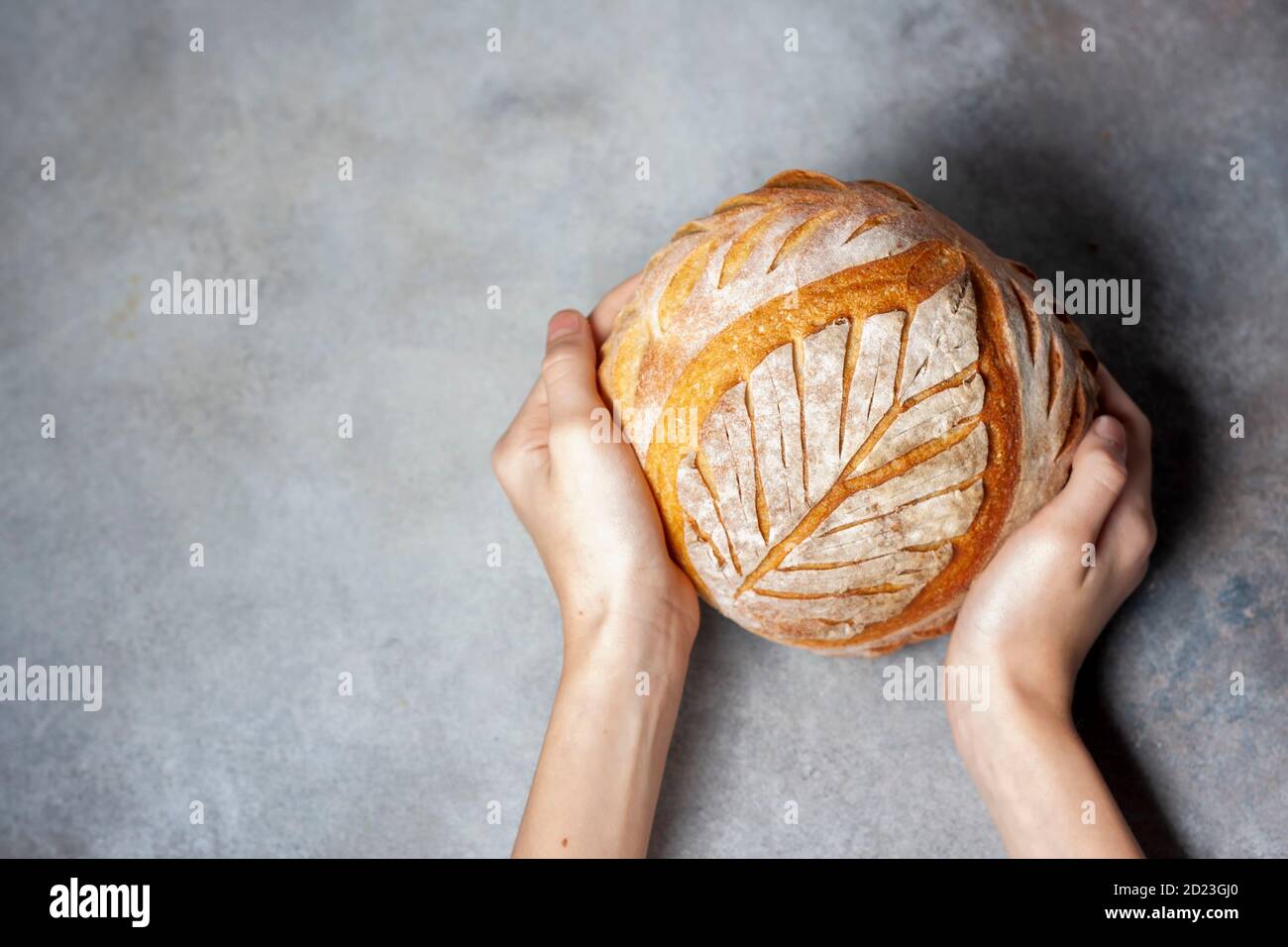 Sourdough bread. Freshly baked organic wheat bread. Child holding fresh round bread. Stock Photo