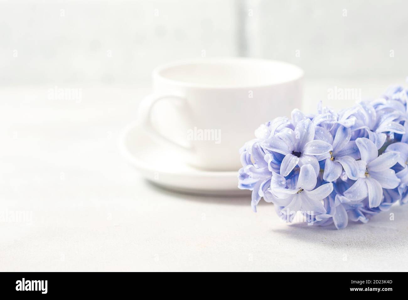 White coffee cup on a white background and flowers Stock Photo - Alamy
