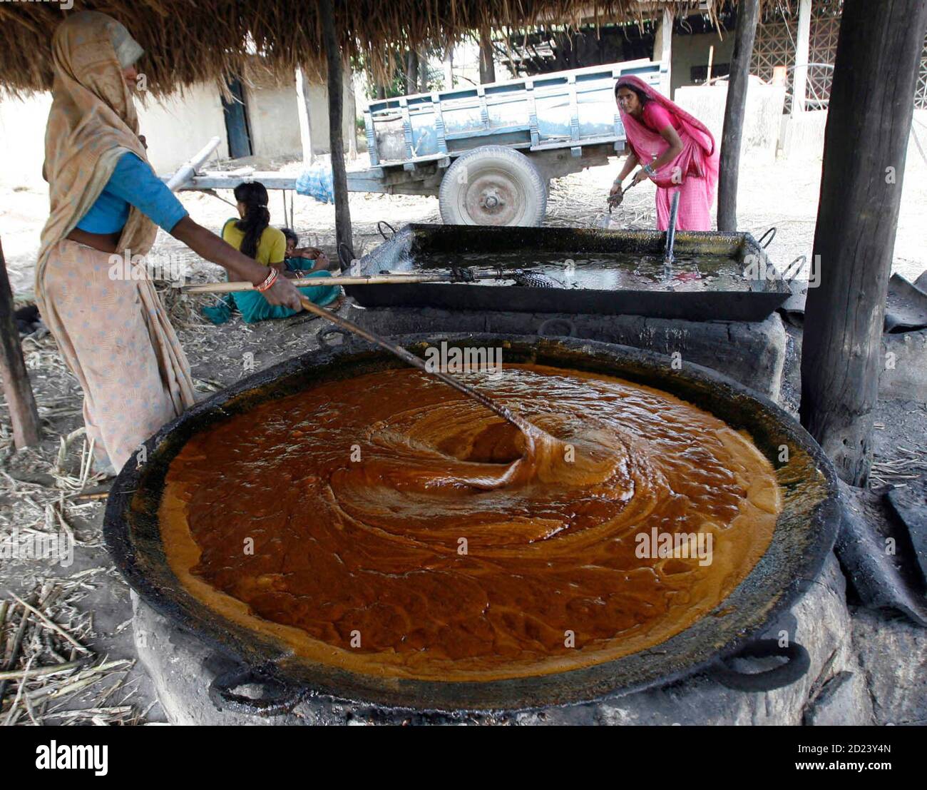 Terai region of nepal hires stock photography and images Alamy