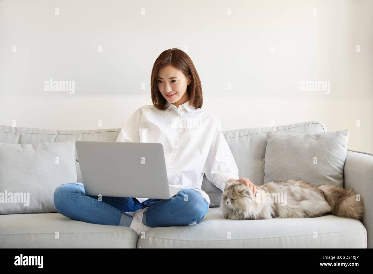 young asian businesswoman working at home using laptop computer while caressing pet cat Stock Photo