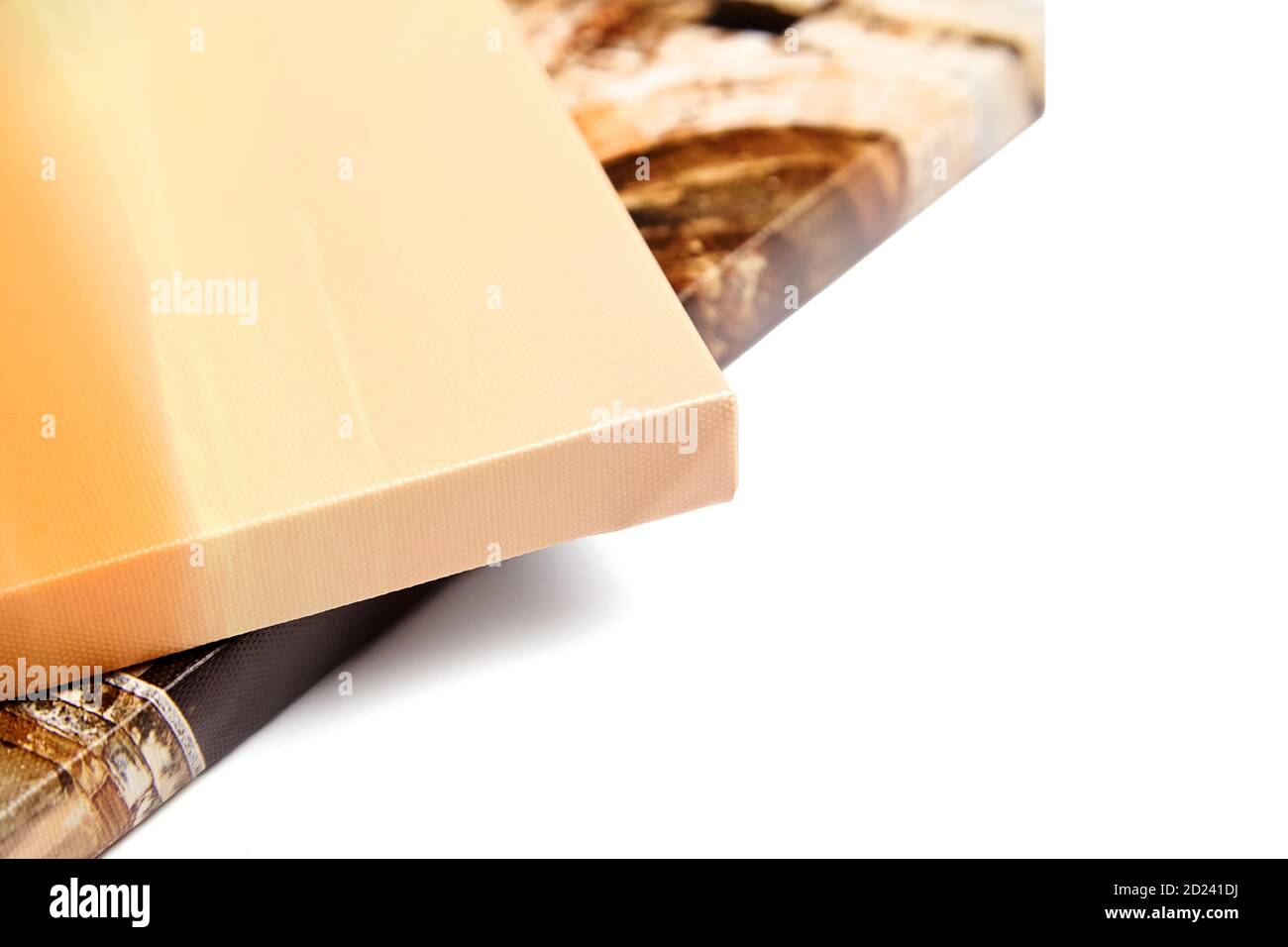 Canvas prints isolated on white background. Wrapped canvases, edge